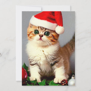 Gatito vintage de Navidad en Santa Hat