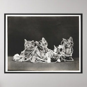 Gatitos Aburridos En La Impresión De Arte De Yarn