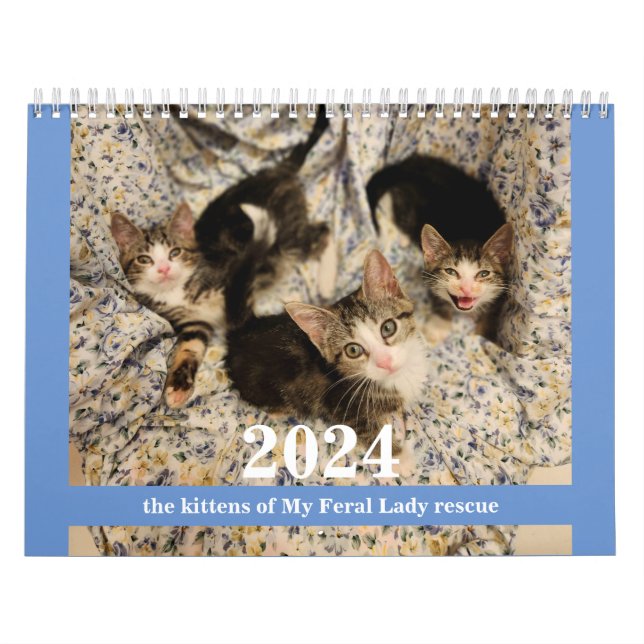 ¡Gatitos! Calendario de gatitos de mi Feral Lady 2 (Tapa)