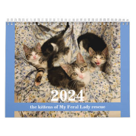 ¡Gatitos! Calendario de gatitos de mi Feral Lady 2