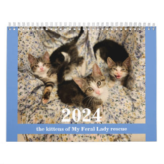 ¡Gatitos! Calendario de gatitos de mi Feral Lady 2