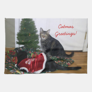 Gatitos con la toalla de cocina del árbol de