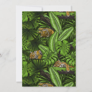 Gatitos de la jungla