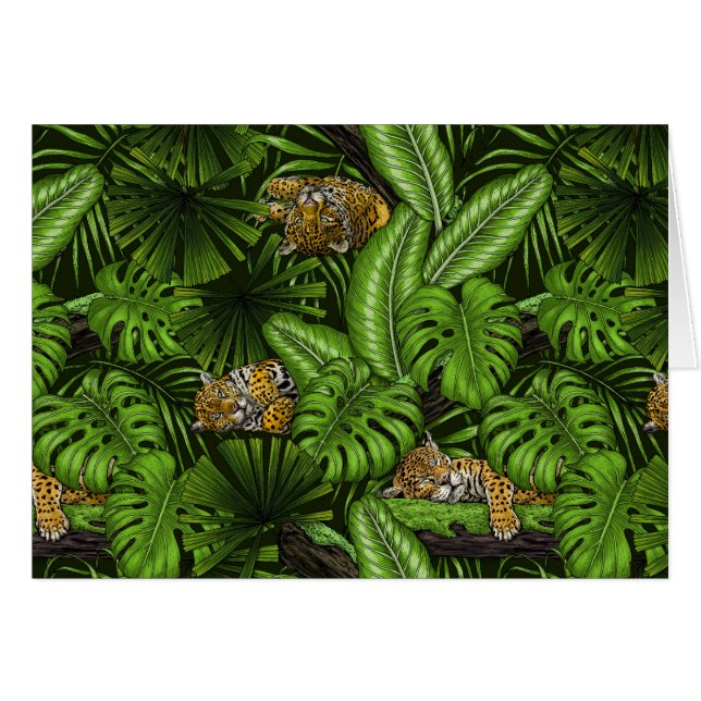 Gatitos de la jungla (Anverso (Horizontal))