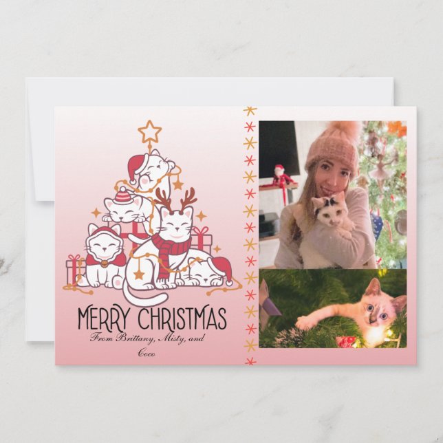 Gatitos de Navidad Rosados Adorables (Anverso)