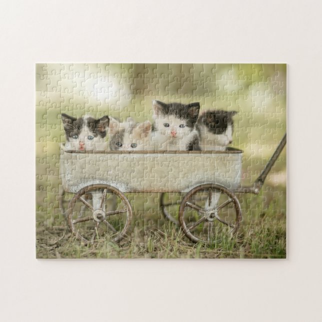 Gatitos de rompecabezas de juego (Horizontal)