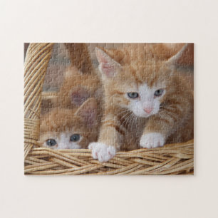 Gatitos de rompecabezas de juego