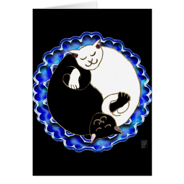 gatitos de yang del yin (Frente)