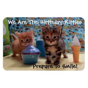 Gatitos del cumpleaños imán flexible de la foto