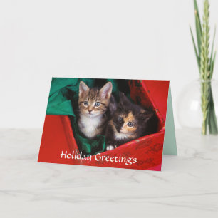Gatitos del navidad