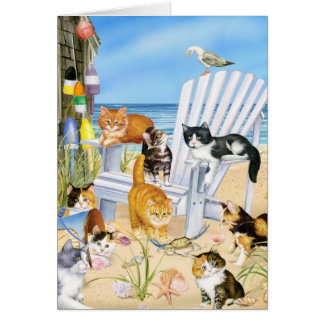 ¡Gatitos del vago de la playa!
