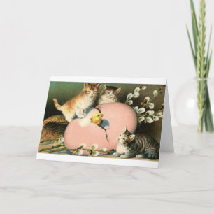 Gatitos del Victorian y trama de la tarjeta de