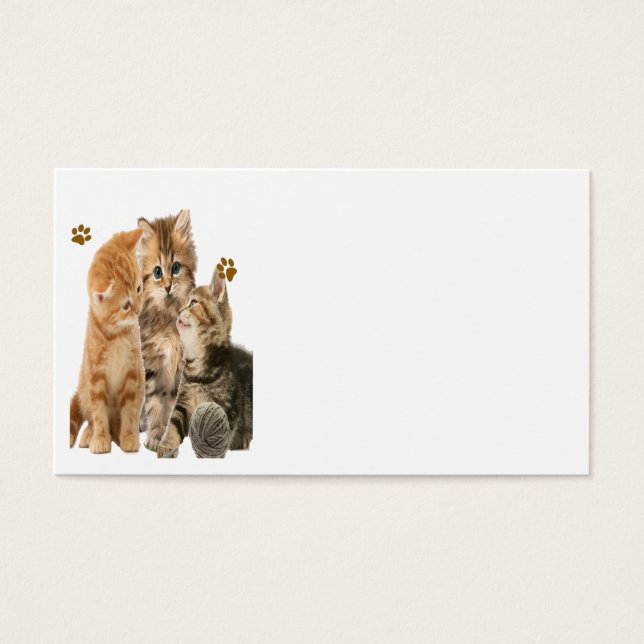 Gatitos en productos de juego (Frente)