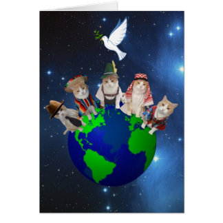 Gatitos en todo el mundo
