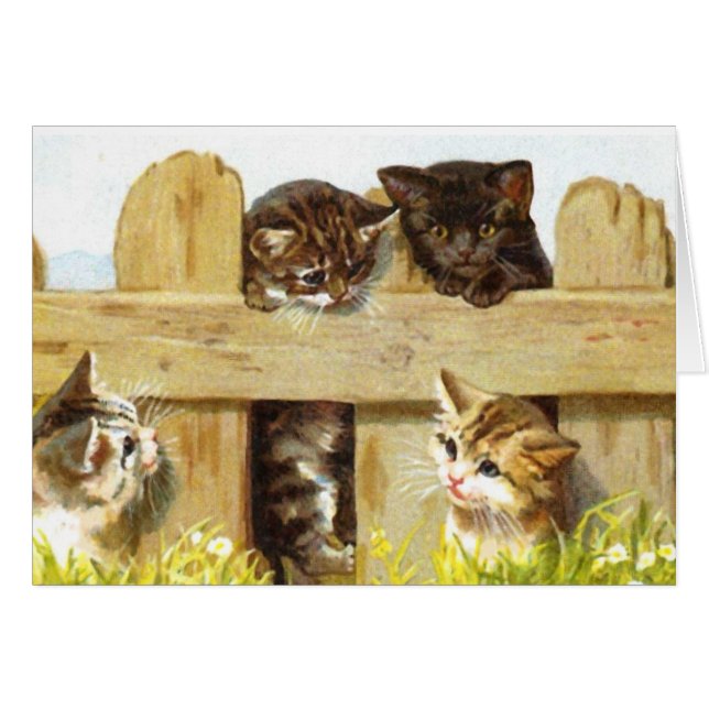 Gatitos en una cerca (Anverso (Horizontal))