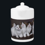 Gatitos en una tetera de la porcelana de la fila<br><div class="desc">Tetera de la porcelana con los gatitos escoceses adorables en una fila.</div>