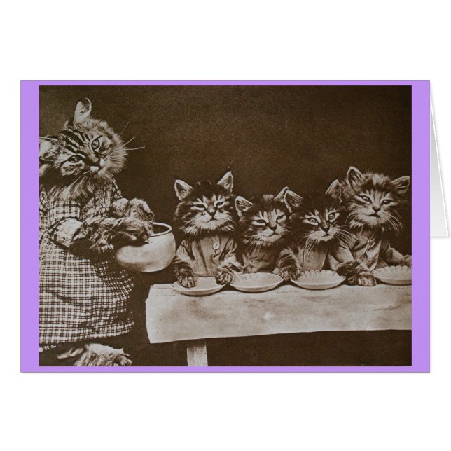 gatitos hambrientos (Anverso (Horizontal))