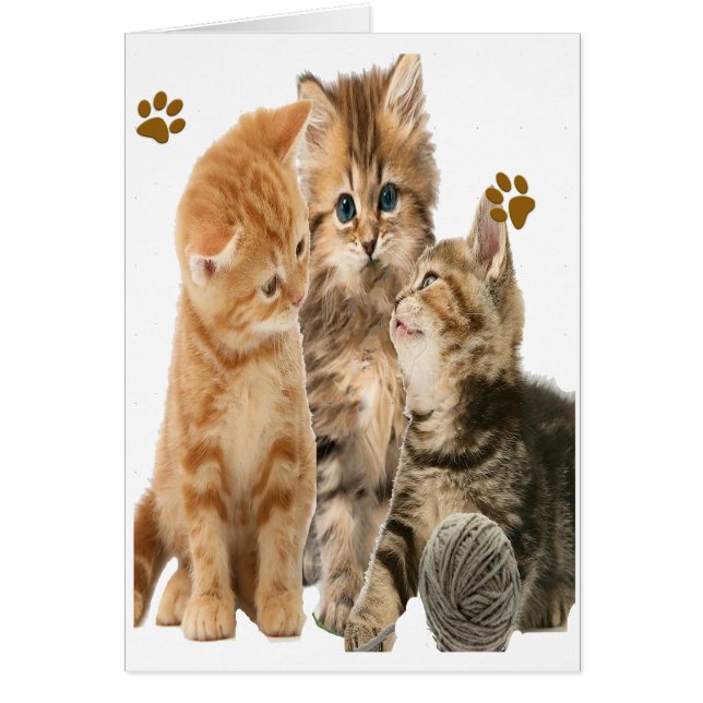 Gatitos jugando camisetas (Frente)