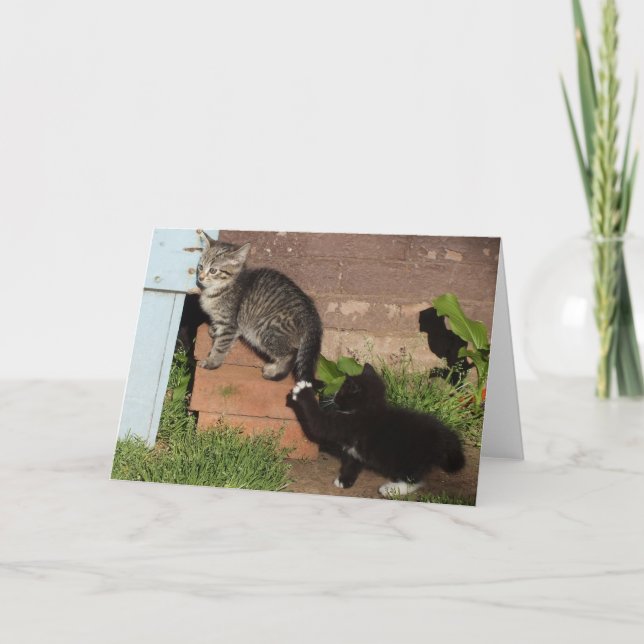 Gatitos jugando tarjeta de felicitación de etiquet (Anverso)