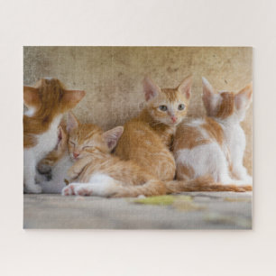 Gatitos Rompecabezas