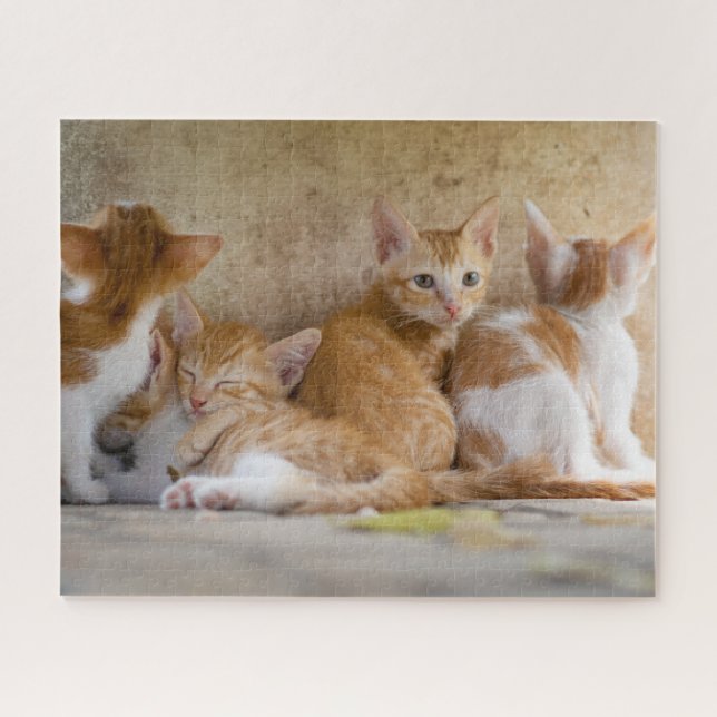 Gatitos Rompecabezas (Horizontal)