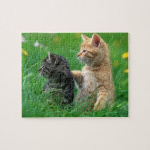 Gatitos rompecabezas