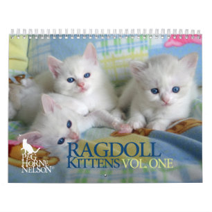 Gatitos vol. de Ragdoll. Un calendario