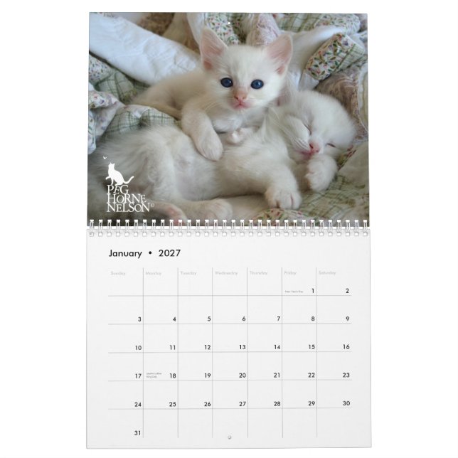 Gatitos vol. de Ragdoll. Un calendario (Jan 2027)