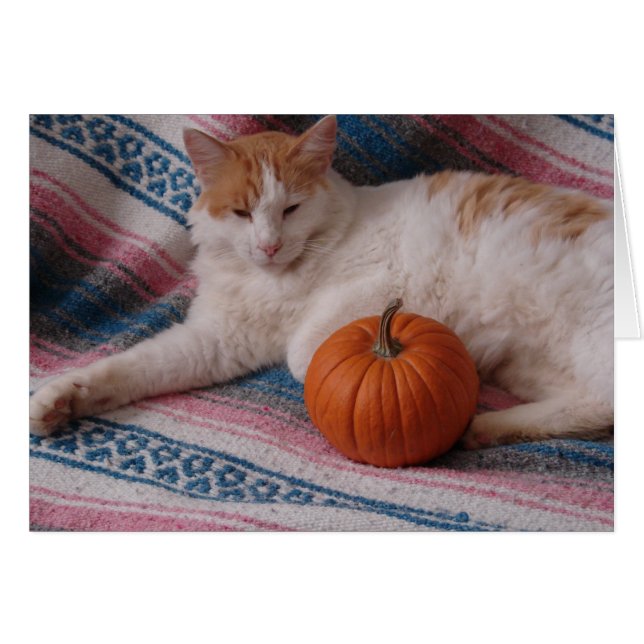 Gatitos y calabaza (Anverso (Horizontal))
