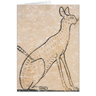 Gato
