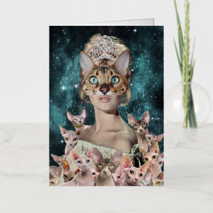 Gato