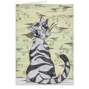 Gato 01 de Missy