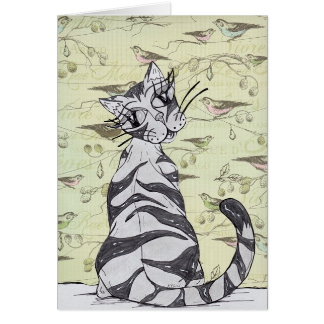 Gato 01 de Missy (Frente)