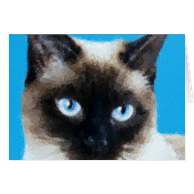 Gato 1 (Anverso (Horizontal))