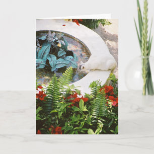 Gato 1 de Hemingway - tarjetas del saludo y de