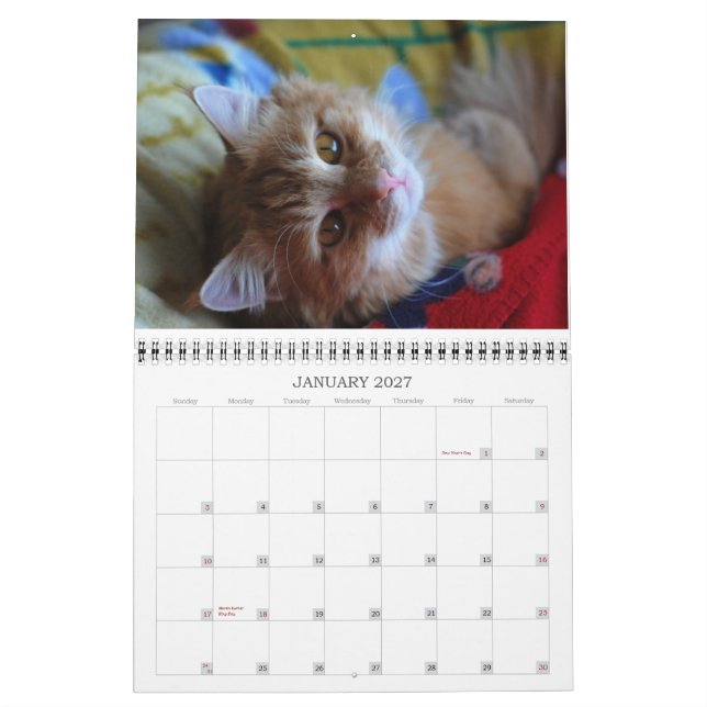 Gato 2012 del calendario (Jan 2027)