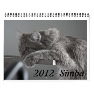 Gato 2012 del calendario
