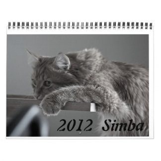Gato 2012 del calendario