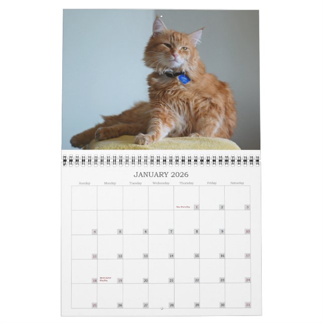 Gato 2012 del calendario (Jan 2026)