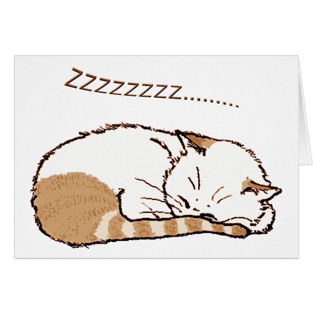 gato 2 el dormir (Anverso (Horizontal))