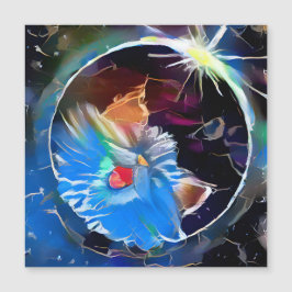 Gato 6 - Eclipse solar