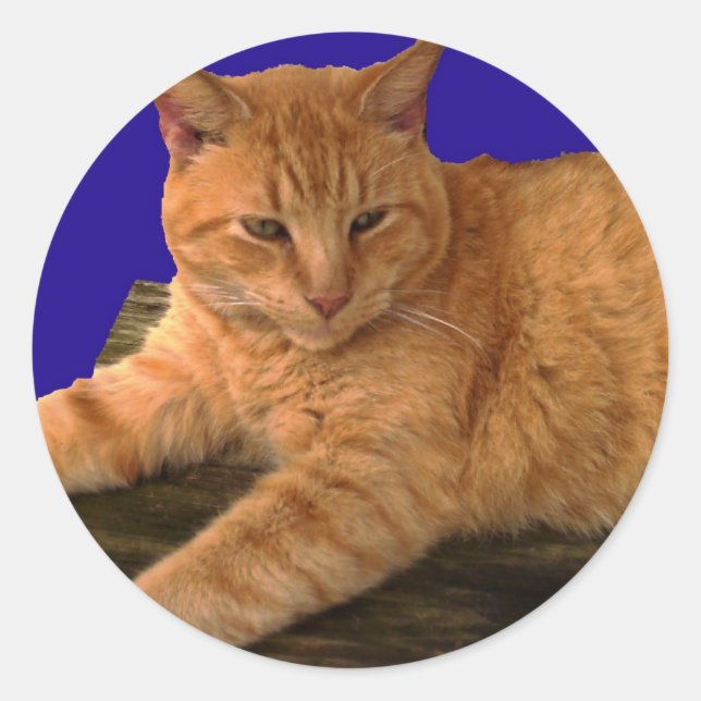 Gato 8, Pegatinas (Anverso)