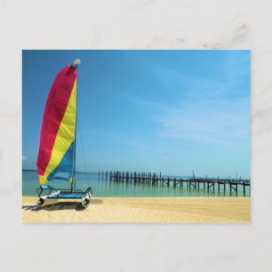 Gato a orillas del mar - Postales de navegación