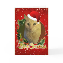 Gato Adorable Con Gorro De Santa Navidad
