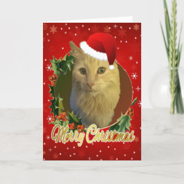 Gato Adorable Con Gorro De Santa Navidad