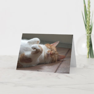 Gato adorable Pensamiento de tu tarjeta