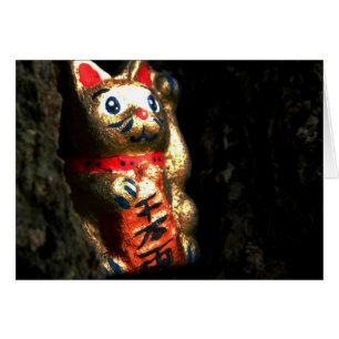 Gato afortunado en el ladrido