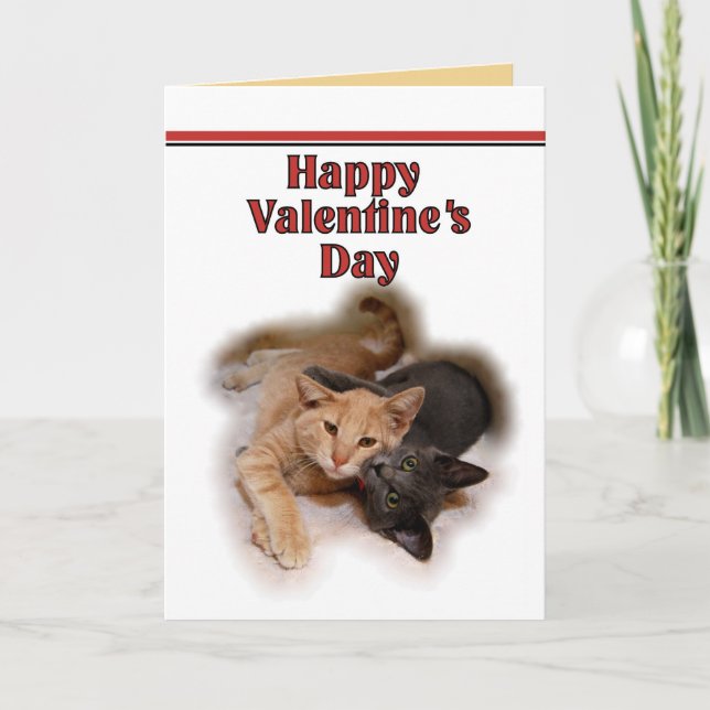 Gato Amante de la feliz tarjeta de San Valentín (Anverso)