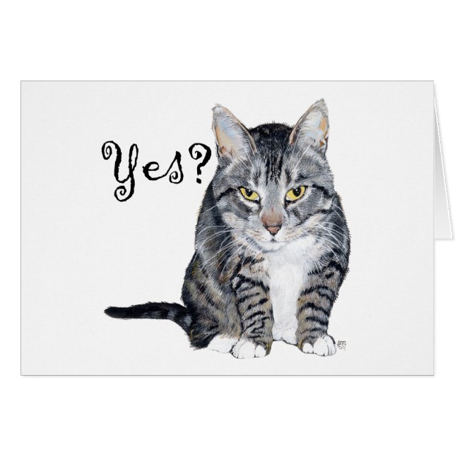Gato American Shorthair - ¿Sí? (Anverso (Horizontal))