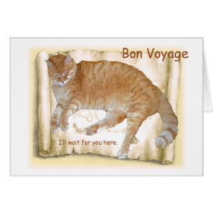 Gato anaranjado del buen viaje en mapa